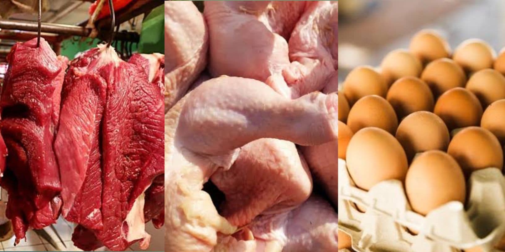 Di Balik Daging di Piring Kita: Kisah Pengawasan yang Tak Pernah Tidur