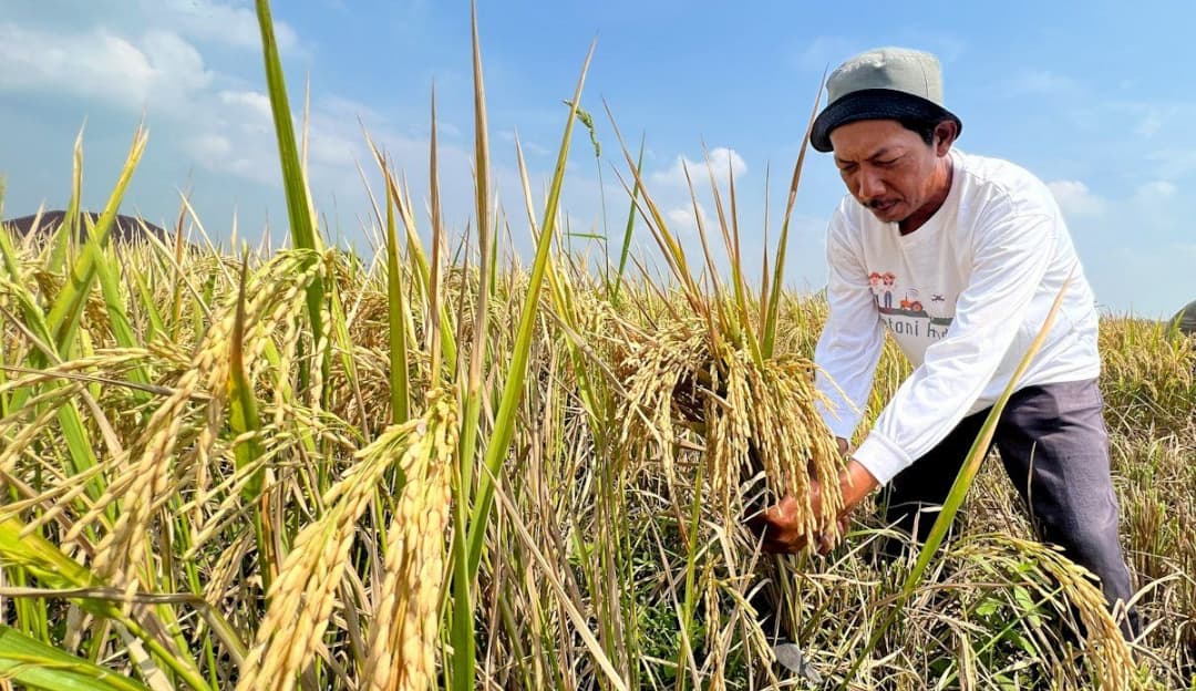 Menyongsong Musim Tanam 2026: Dukungan Konkret untuk Petani Indonesia