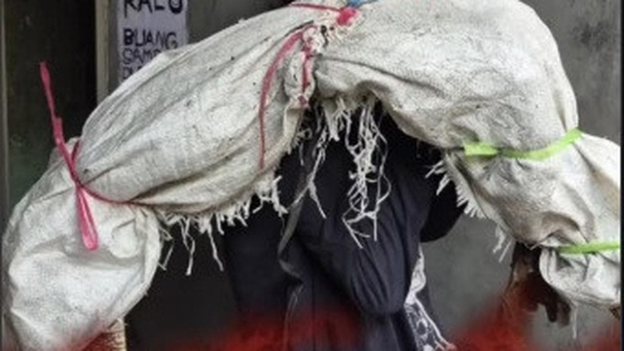 Dari Karung Misterius ke Hewan Peliharaan: Kisah Unik Pengamen dan Biawak yang Menggemparkan Tambora