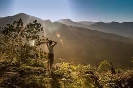 Melarikan Diri dari Layar: Mengapa Liburan Tanpa Gadget Menjadi Obat Jiwa di Era Digital yang Tak Pernah Tidur?