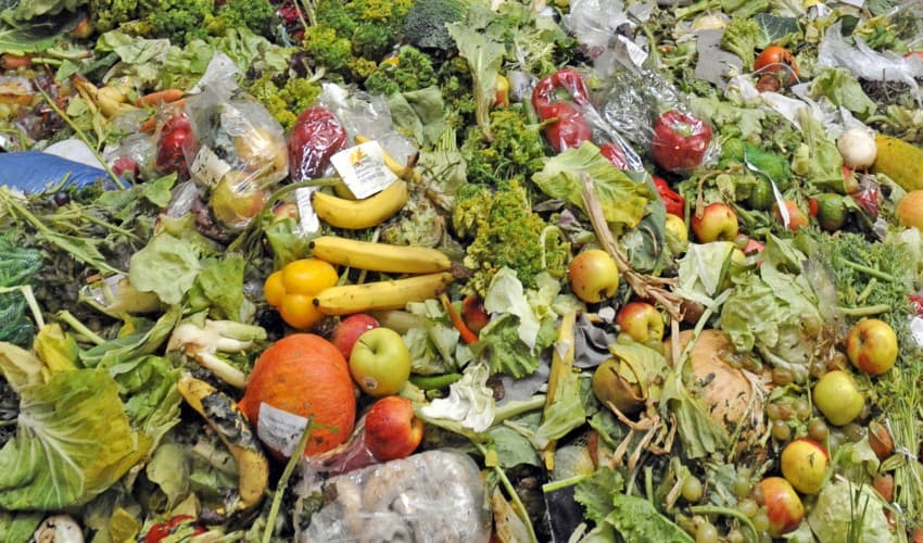 Mengurai Benang Kusut Sampah: Dari Kebiasaan Belanja Hingga Pilihan Hidup yang Lebih Arif