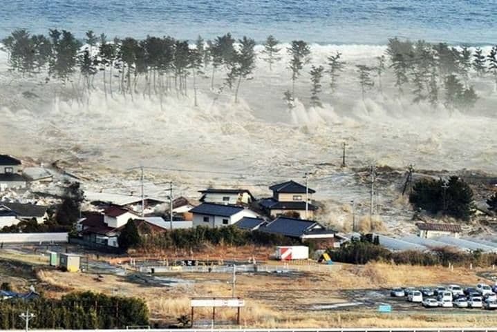 Saat Sirene Tsunami Berbunyi: Bukan Waktunya Panik, Ini Langkah Nyata yang Harus Anda Ambil
