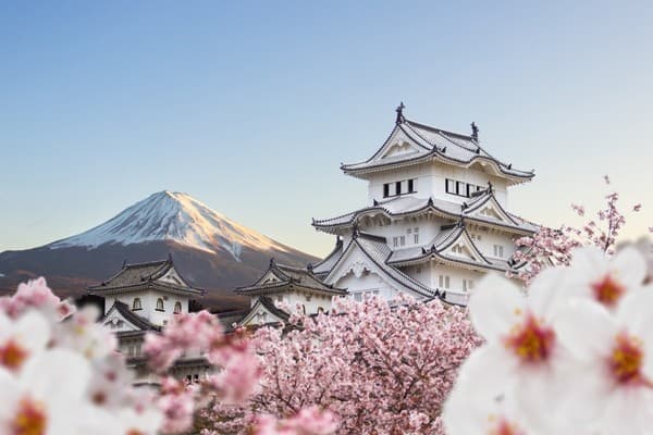 Dari Hibernasi ke Hiruk-Pikuk: Kisah Kebangkitan Pariwisata Jepang yang Menginspirasi