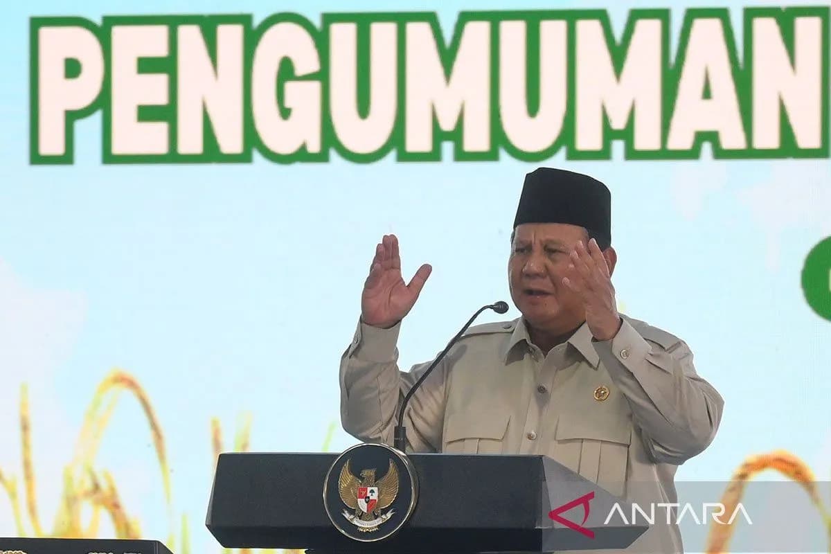 Pemerintah Berencana Ambil Alih Hingga 5 Juta Hektare Perkebunan Sawit Ilegal